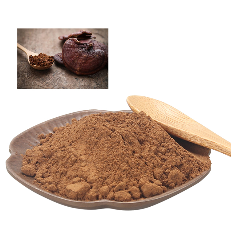 Red Reishi for Mindful Living: Yoga, Meditation & More